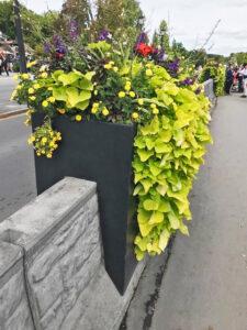 Metal planter attachments sit atop a concrete Jersey Barrier lining a pedestrian walkway.