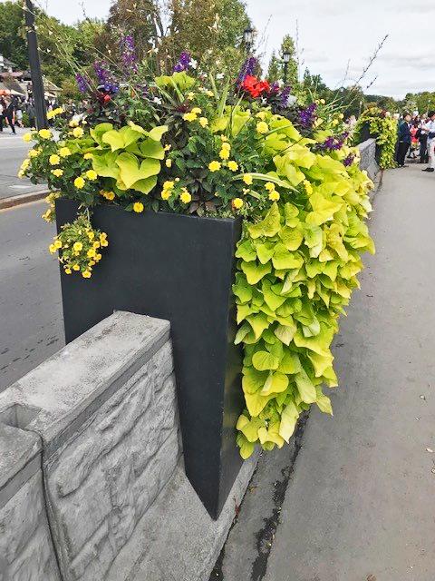 Metal planter attachments sit atop a concrete Jersey Barrier lining a pedestrian walkway.