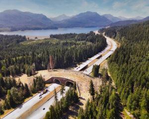 A grass bridge crosses over a highway which cuts through dense evergreen forest