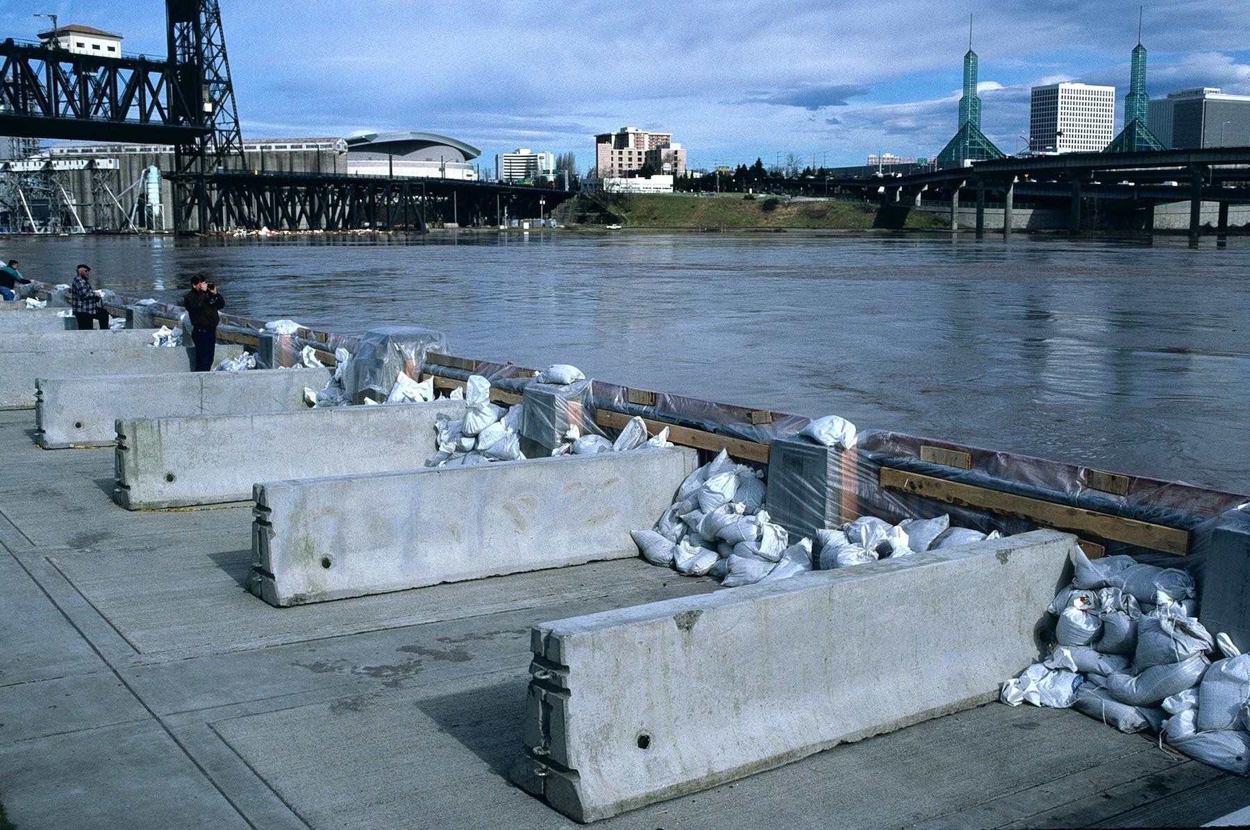 Concrete barriers line a seawall for flood protection